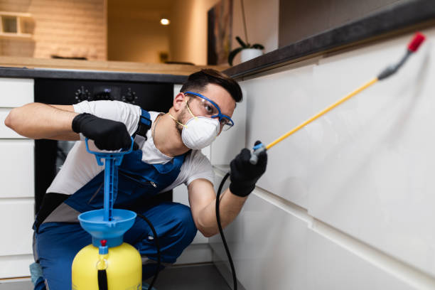 Best Bed Bug Extermination  in Shorewood Forest, IN