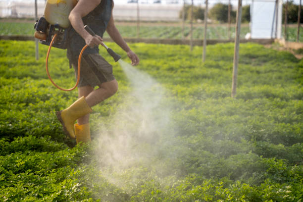 Professional Pest Control in Shorewood Forest, IN