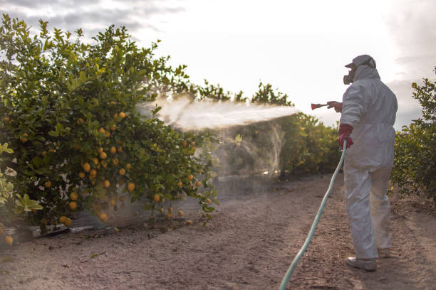 Best Local Pest Control Services  in Shorewood Forest, IN