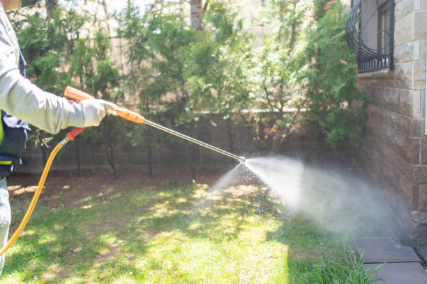 Best Mosquito Control Services  in Shorewood Forest, IN