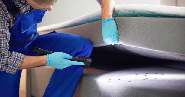Best Emergency Pest Control  in Shorewood Forest, IN