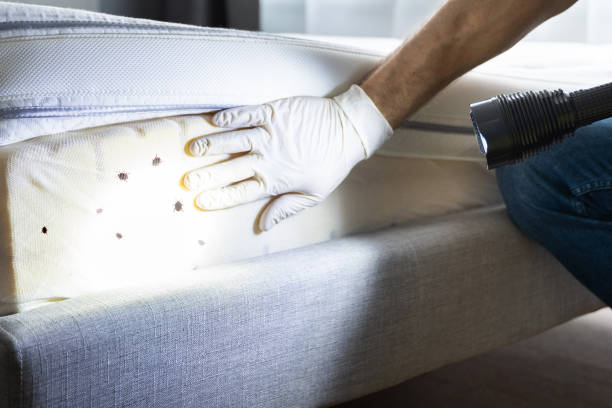 Best Pest Control Treatment  in Shorewood Forest, IN