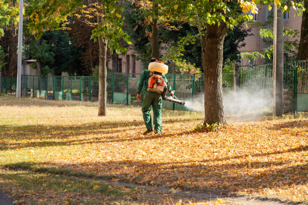 Best Pest Control Near Me  in Shorewood Forest, IN