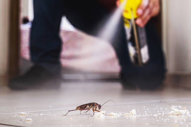 Best Termite Control Services  in Shorewood Forest, IN