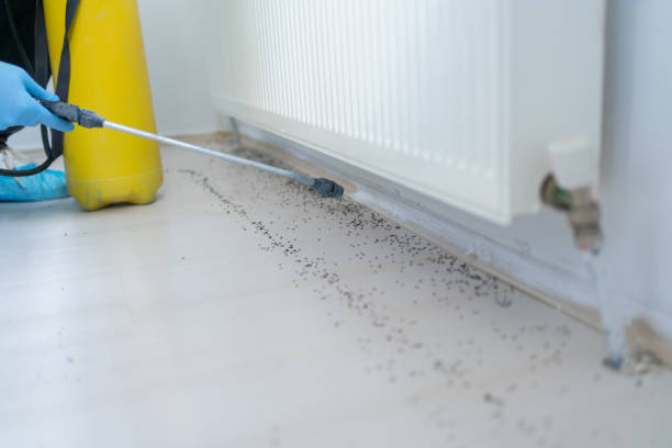 Best Pest Inspection Near Me  in Shorewood Forest, IN